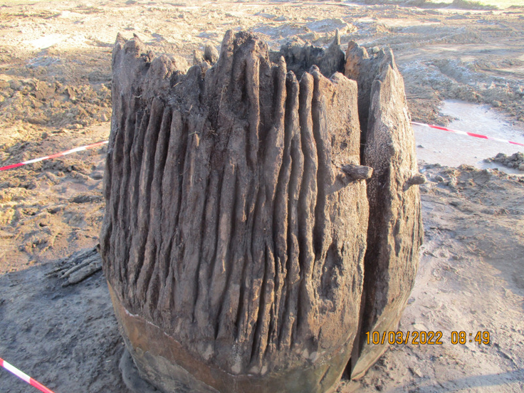 Archäologen fanden mehrere Brunnen wie diesen aus Holz